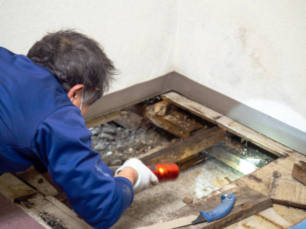Water Damage Restoration in Wanamassa, NJ