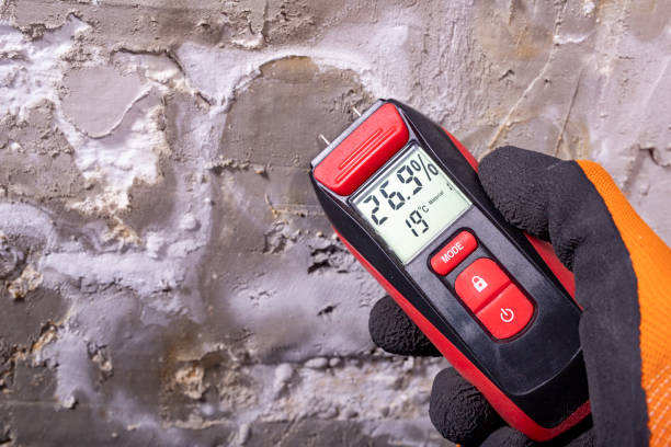 Best Emergency Mold Removal  in Wanamassa, NJ