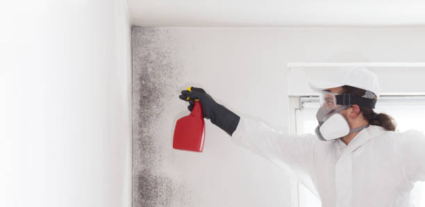 Best Office Mold Removal Services  in Wanamassa, NJ